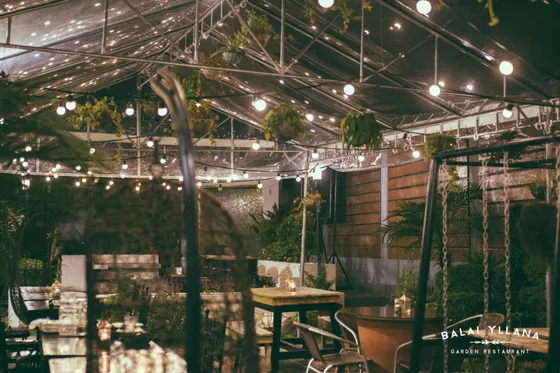 The garden under a clear roof, with hanging plants and bulb lights, 2018