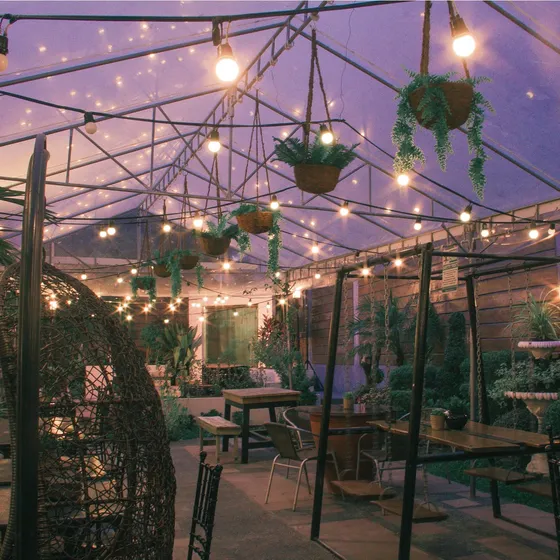 Hanging plants and string lights above the garden tables at dusk, 2019