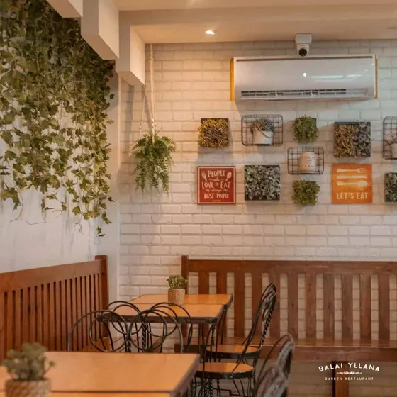 A corner of the sunroom with hanging plants and wall planters, 2023